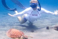 San Diego Snorkeling Tour with Marine Biologist thumbnail 4