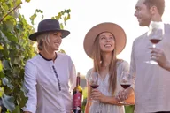 Temecula Wine Tour with Food Pairing 1.5 hr thumbnail 5