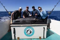 Oahu Deep Sea Fishing Experience thumbnail 6