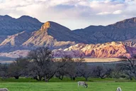 Las Vegas Spring Mountain Ranch Hike and House Visit thumbnail 2