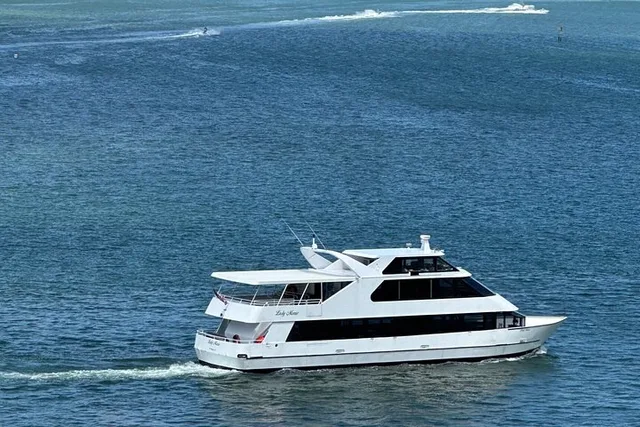 Miami Cruise Millionaire Homes and Skyline 75 min - Image 2