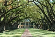 New Orleans Plantation and Swamp Tour thumbnail 1