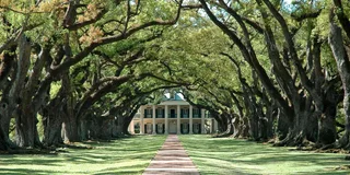 New Orleans Plantation and Swamp Tour