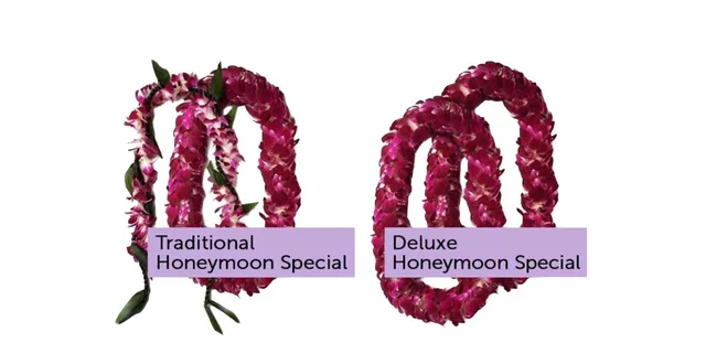 Kona Airport Lei Greeting for Honeymooners - Image 5