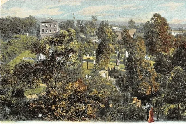 Savannah Colonial Park Cemetery Tour - Image 3