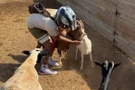 Oahu ATV and Farm Animal Experience 45 min thumbnail 2