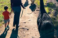 Denver Llama Hike in the Rocky Mountains thumbnail 1