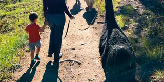 Denver Llama Hike in the Rocky Mountains