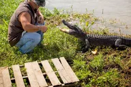 New Orleans Swamp and Bayou Alligator Tour thumbnail 3