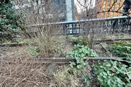 New York High Line and Hudson Yards Tour thumbnail 3