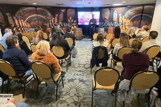 San Antonio Wine Tasting Experience