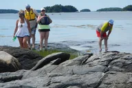 Casco Bay Sea Kayak Oyster Farm Tour thumbnail 5