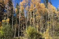 Denver Hiking Tour to Saint Mary's Glacier and Hot Springs thumbnail 1
