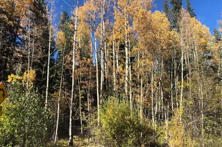 Denver Hiking Tour to Saint Mary's Glacier and Hot Springs