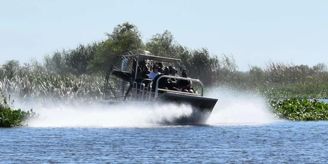 New Orleans Airboat Swamp Tour - Image 2