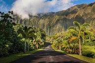 Oahu Polaris Slingshot Adventure thumbnail 2