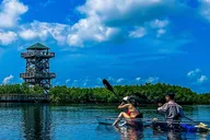 Bradenton Clear Kayak Ecotour thumbnail 6