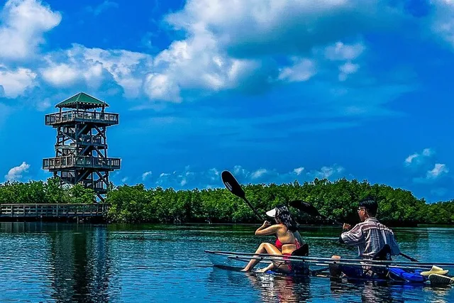 Bradenton Clear Kayak Ecotour - Image 6