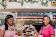 Dallas Tea Bus Tour with Treats 1.5 hr thumbnail 2