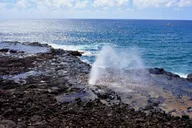 Kauai Day Tour: Kalalau, Waimea, Poipu thumbnail 6