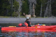 Yellowstone Lake Sunset Kayaking Tour thumbnail 1