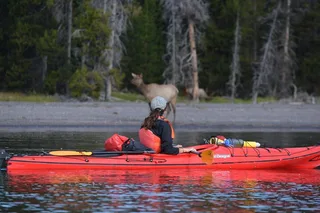 Yellowstone Lake Sunset Kayaking Tour