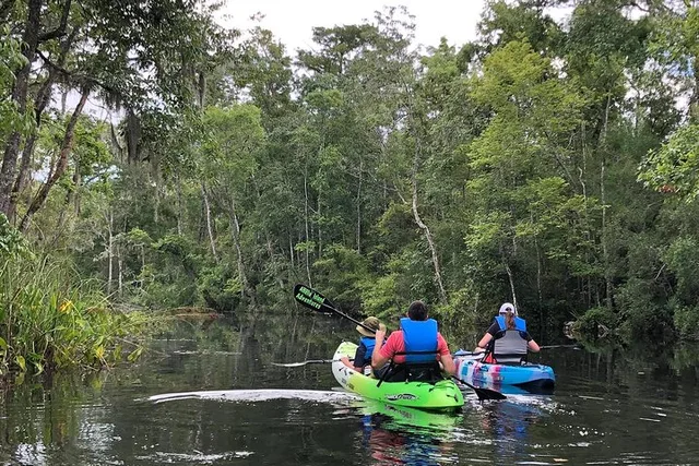 Yulee Kayaking Adventure 2 hr - Image 2