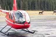 Anchorage Helicopter Flightseeing Tour thumbnail 3