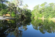 Cypress Forest Nature Kayak Eco-Tour thumbnail 2