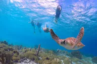 West Maui Self-Guided Electric Bike and Snorkel Explorer thumbnail 3