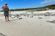 Marco Island Shelling Tour thumbnail 4