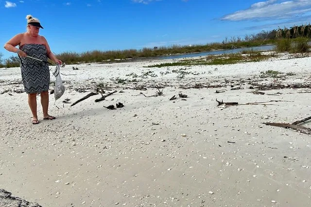 Marco Island Shelling Tour - Image 4