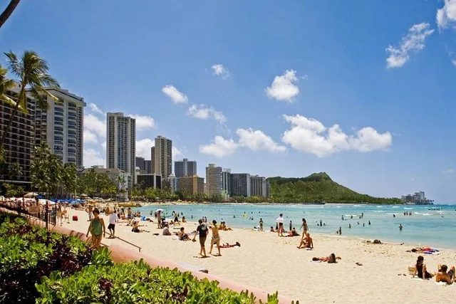 Honolulu Private Airport Transfer in SUV - Image 5