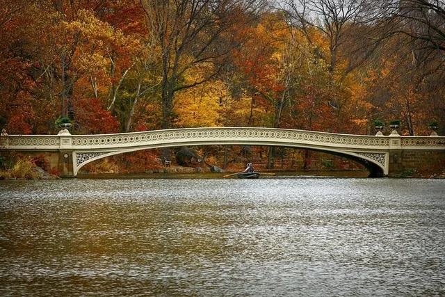 New York City Central Park Scavenger Hunt - Image 5