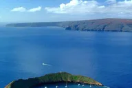 Maui Snorkel Tour to Molokini or Coral Gardens thumbnail 2
