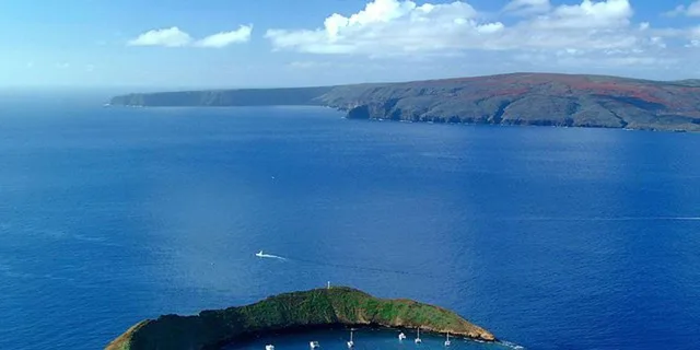 Maui Snorkel Tour to Molokini or Coral Gardens - Image 2