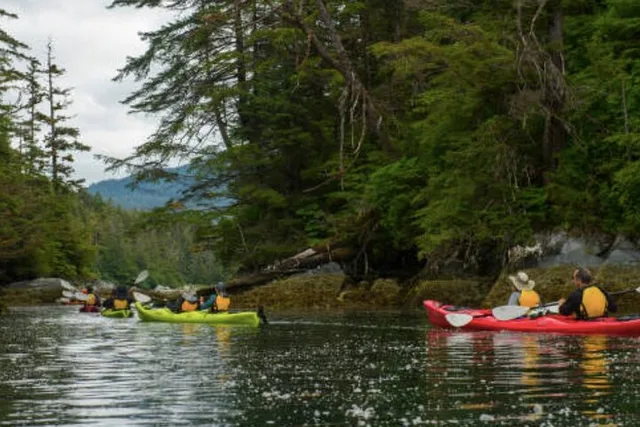 Sitka Harbor & Islands Guided Kayaking - Image 2