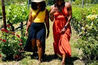 Santa Barbara Wine Country Tour with Lunch thumbnail 1