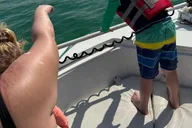 Destin Dolphin Cruise Private Morning 2 hr thumbnail 6