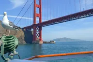 San Francisco Bay Dinner Cruise thumbnail 3