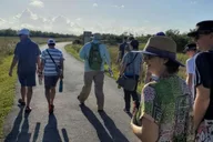 Naples 10,000 Islands Boat Tour & Everglades Walk thumbnail 4