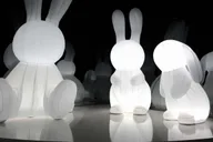 New York Immersive Media Art Exhibition thumbnail 6