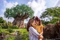 Orlando Park Hopper Plus Tickets thumbnail 6