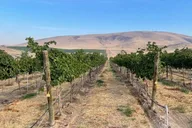 Woodinville Wine Tasting Pass thumbnail 1