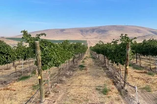 Woodinville Wine Tasting Pass
