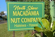 Oahu Private Tour North Shore and Waimea Falls thumbnail 4