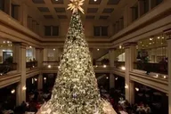 Chicago Holiday City Tour thumbnail 4