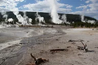 Yellowstone Lower Loop Private Tour with Lunch thumbnail 4
