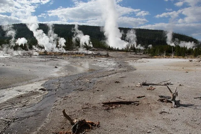 Yellowstone Lower Loop Private Tour with Lunch - Image 4