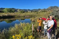 Denver Bird Watching Tour thumbnail 2